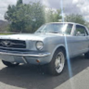 Meet your Posher, Alfred